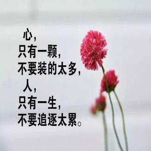 经典人生感悟:一盏指引明灯