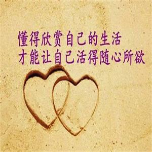 情感的舵手:人生感悟的精辟之句