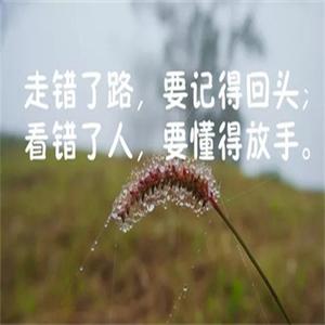 人生感悟:2019年的心灵之旅