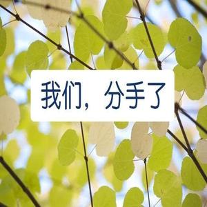 分手的原因:剖析人性中的复杂纠葛