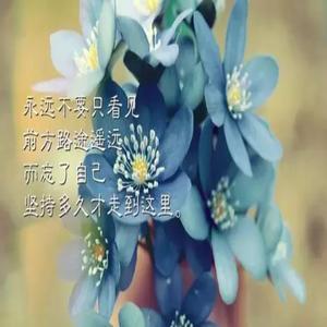 人生感悟:那些触动心灵的图片与文字