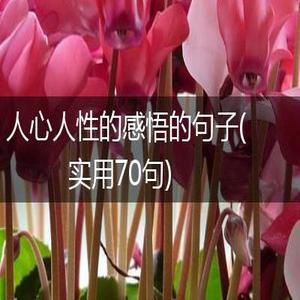 人生感悟:那些穿透人心的精辟短句
